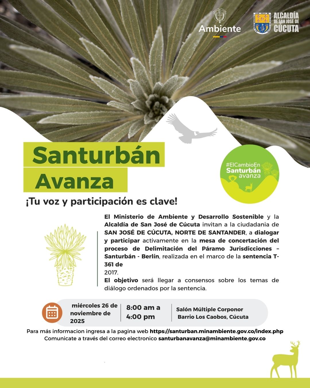 Afiche San jose de cucuta