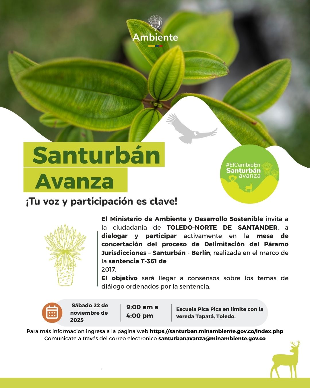 Afiche Toledo Norte