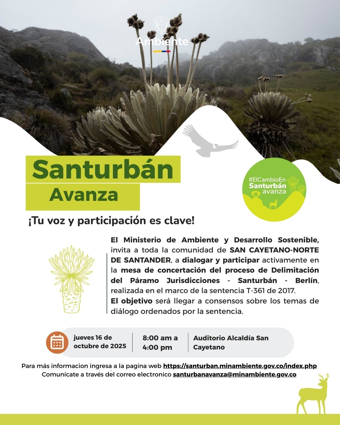 Flayer San Cayetano