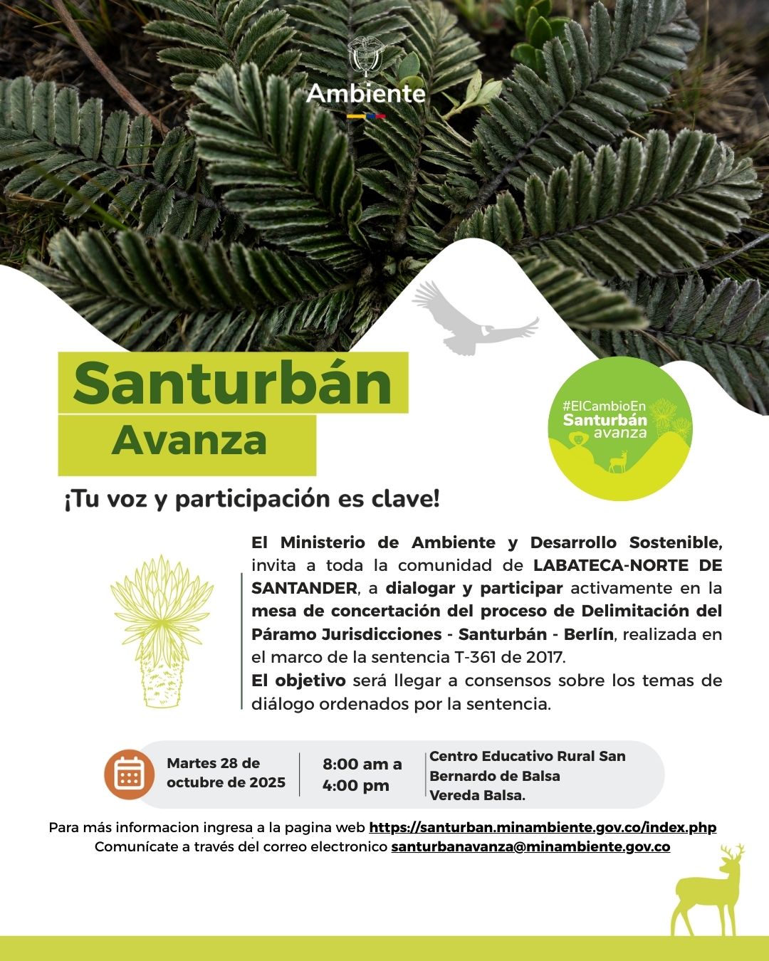 flyer redes Labateca